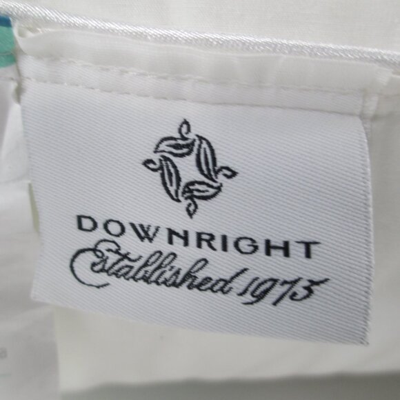 RESTORATION HARDWARE EURO SQUARE LINEN PILLOW SHAM + DOWN ALTERNATIVE PILLOW - Picture 13 of 16